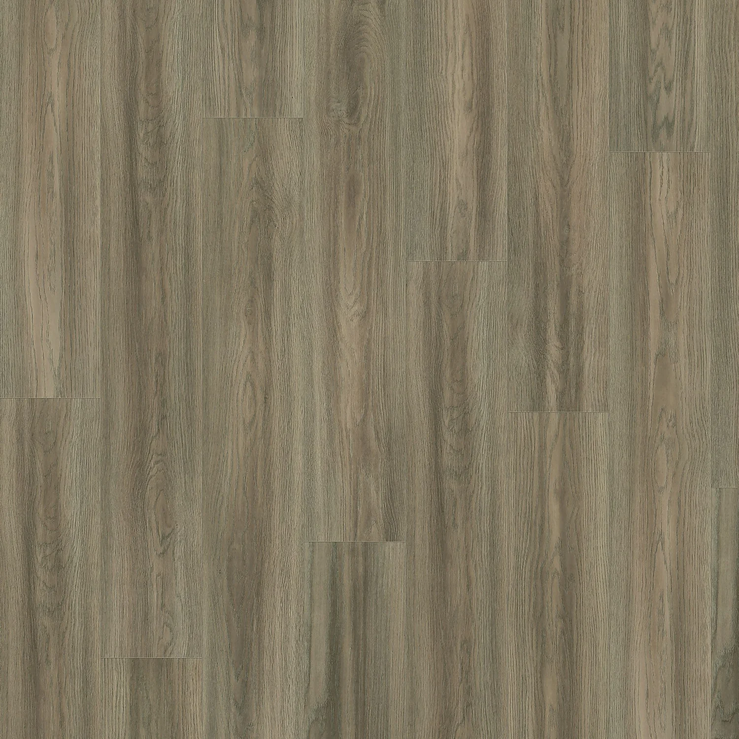 EGGER HOME Light Grey Bolton Oak 8mm Aqua+ Laminate Flooring - Image 2