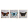 Set Of 3 Butterfly Wall Plaques - 20x20cm